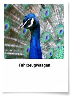 Fahrzeugwaagen