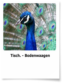 Tisch. - Bodenwaagen