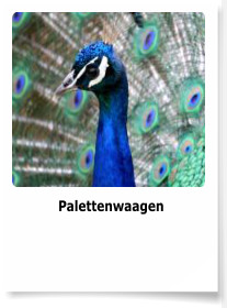 Palettenwaagen