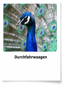 Durchfahrwaagen
