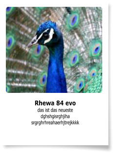 Rhewa 84 evo das ist das neueste dghshgisrghjiha srgrghrhreahaerhjtrejkkkk