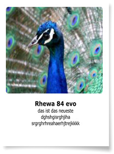 Rhewa 84 evo das ist das neueste dghshgisrghjiha srgrghrhreahaerhjtrejkkkk