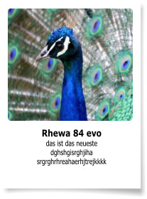 Rhewa 84 evo das ist das neueste dghshgisrghjiha srgrghrhreahaerhjtrejkkkk