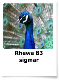 Rhewa 83 sigmar
